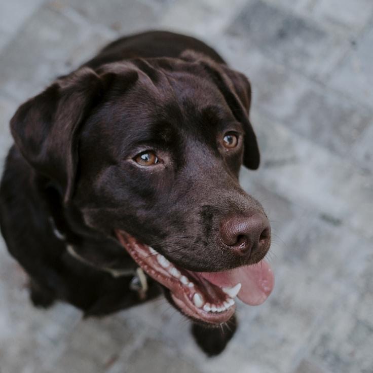 Landscape day trip near Berlin, Germany